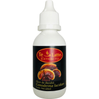 Extracto de Ganoderma Lucidum (REISHI)