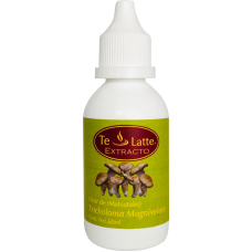 Extracto de Tricholoma Magnivelare Matzutake