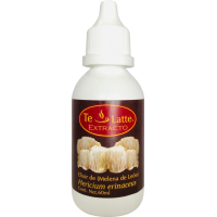 Extacto de Melena de León (Hericium erinaceus)