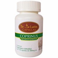 Capsulas de Coprinus (Coprinus Comatus)