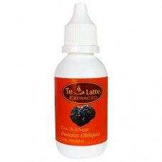 Extracto de Inonotus Obliquus (Chaga)