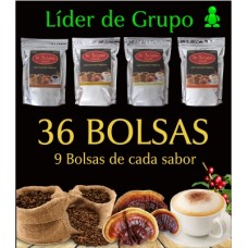 Paquete Líder de Grurpo